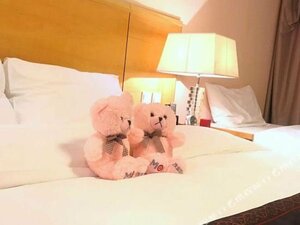 Гостиница Ramada Plaza Shenyang City Center