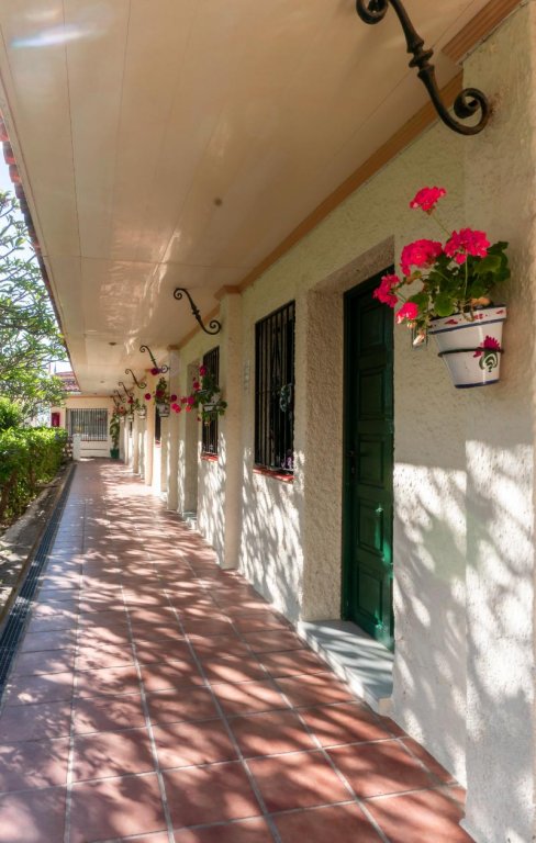 Фото Hotel Los Jazmines