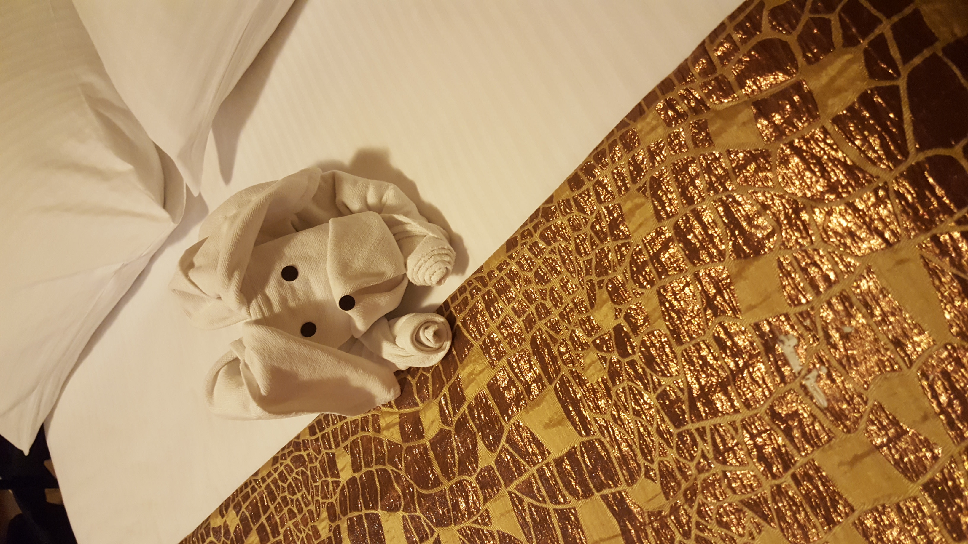 Фото Восход