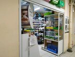 Zoomagazin Cherny kot (Akademik Glushko Street, 22Г), pet shop