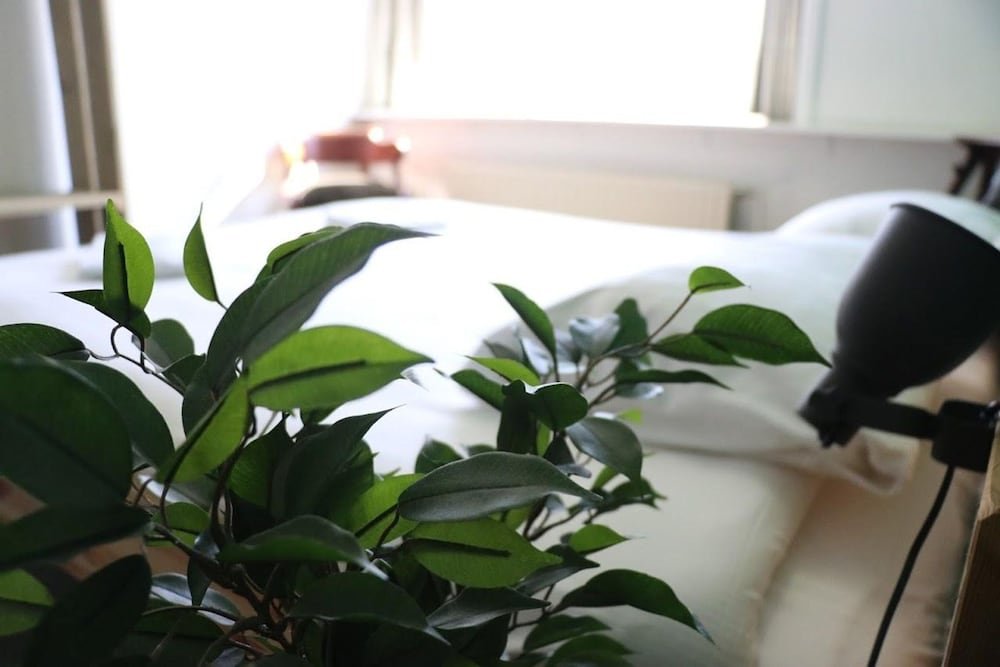 Фото Hostel Roots