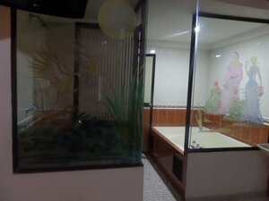Гостиница Hotel Plaza Real