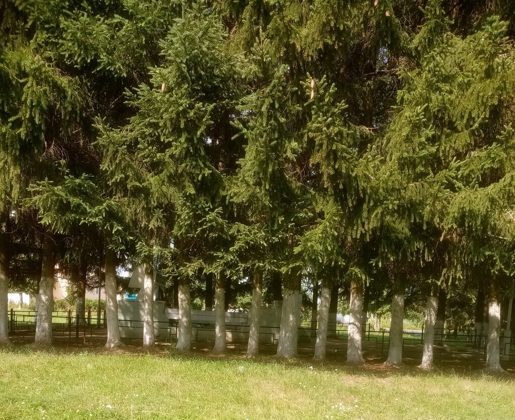 Monumento, memorial Односельчанам, погибшим в годы Великой Отечественной войны, , foto