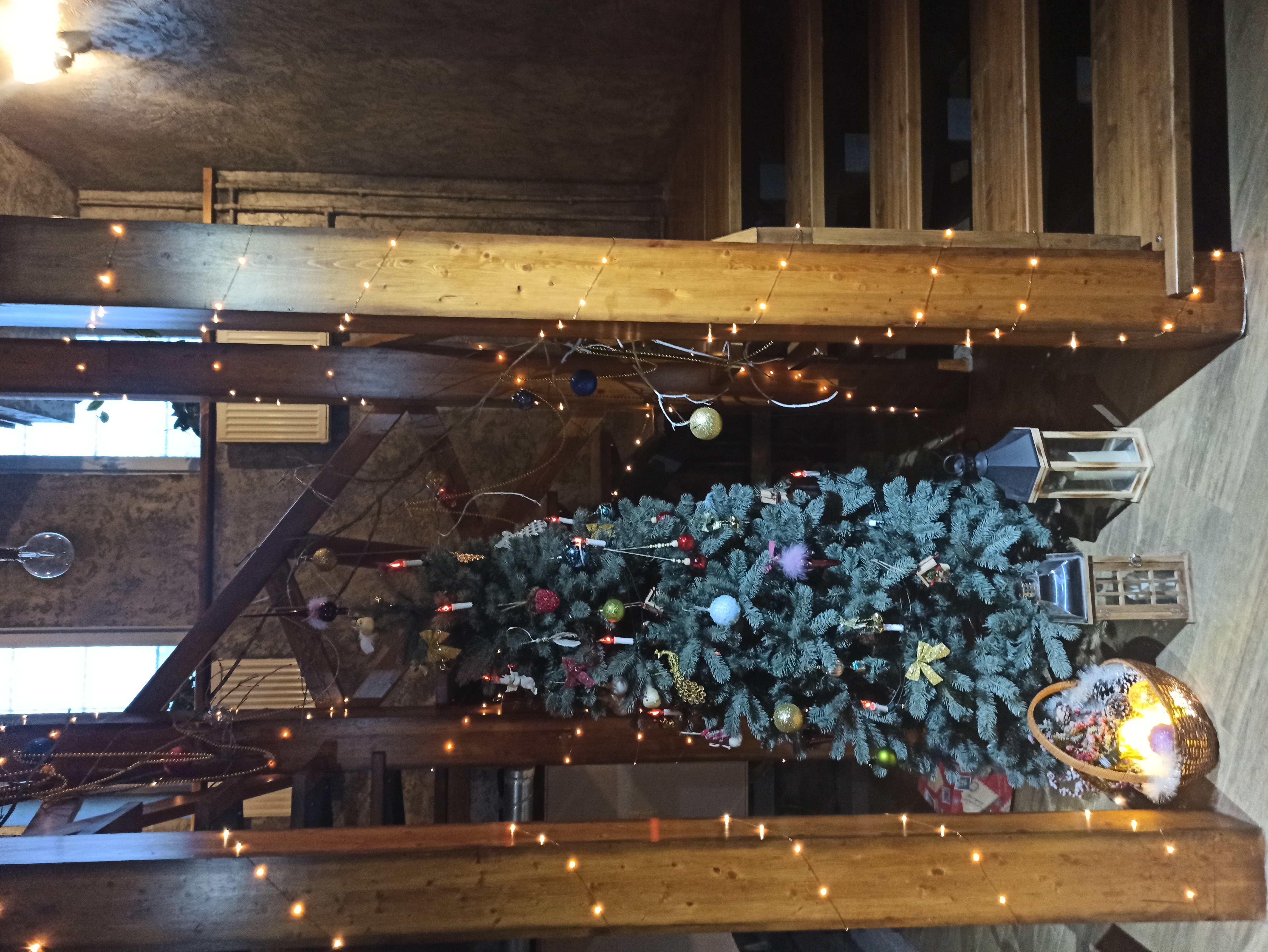 Фото Золотой павлин