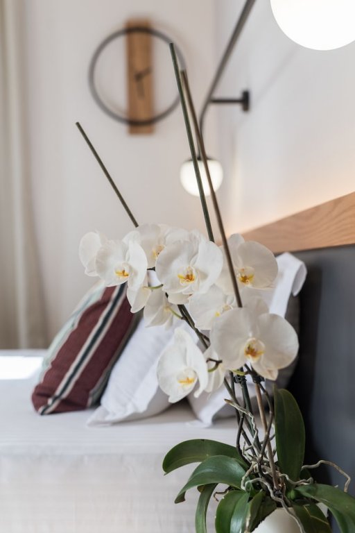 Фото Harismari Cozy Hotel