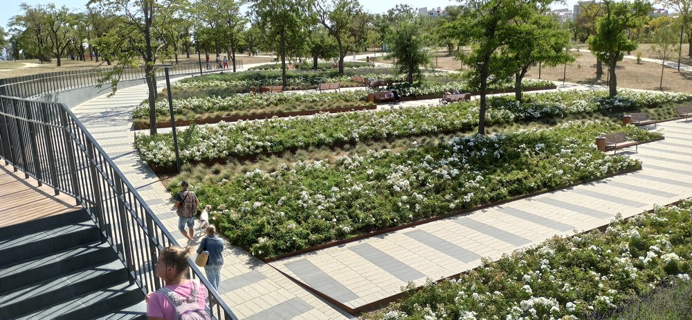 Фото Лазурный