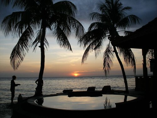 Гостиница Paradise Palm Beach Bungalows