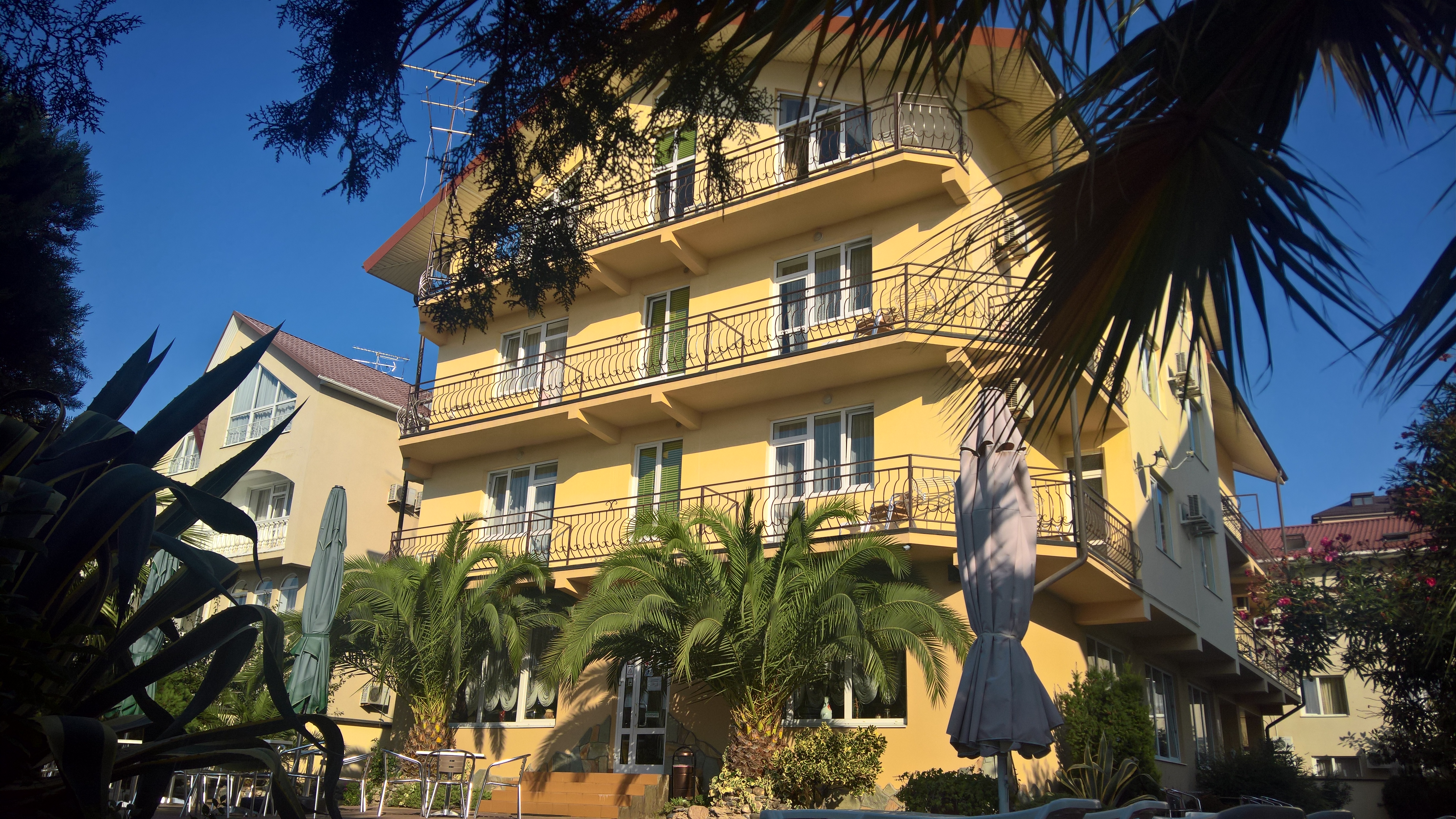 Фото Страна магнолий