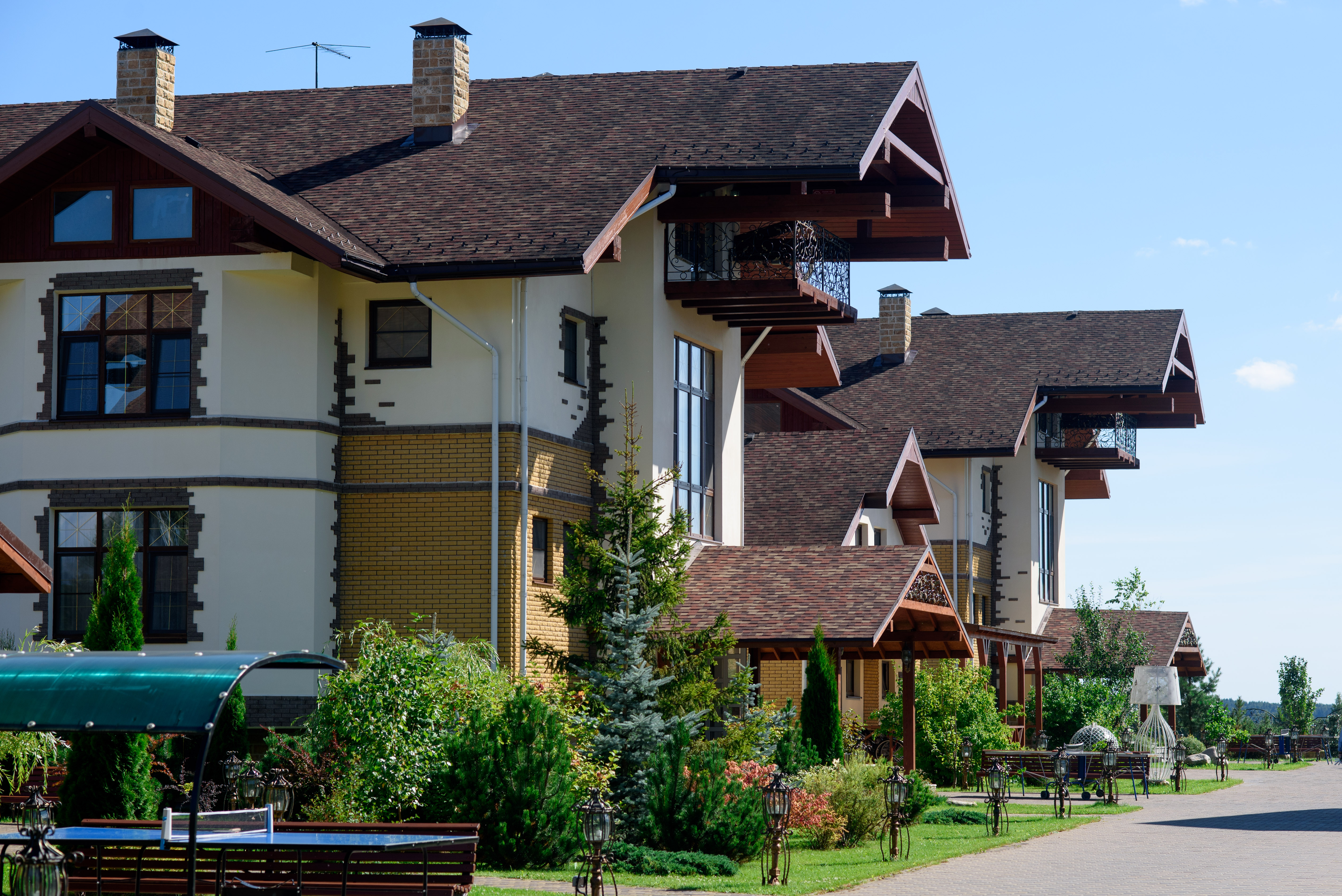 Фото Аврора