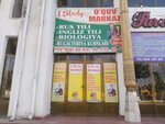 I study (Узбекистан, Бухарская область, Бухара, улица Бахауддина Накшбанда),  Buxoroda o‘quv markazi