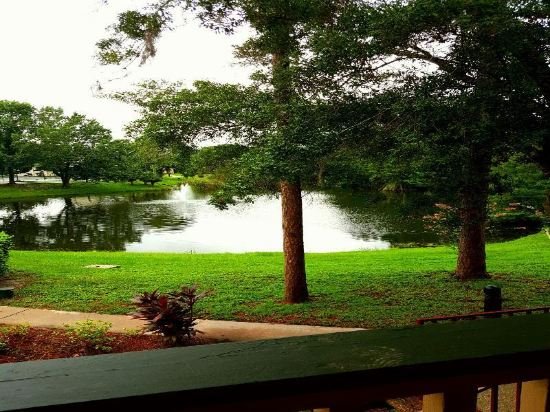 Фото Oak Plantation Resort