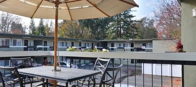 Фото Best Western Plus Palm Court Hotel