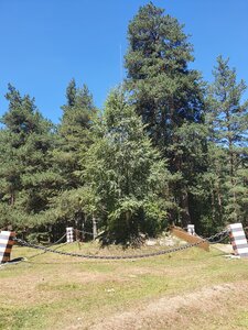 Защитникам Кавказа (Karachayevo-Circassian Republic, Zelenchukskiy District, Arkhyz Village), monument, memorial