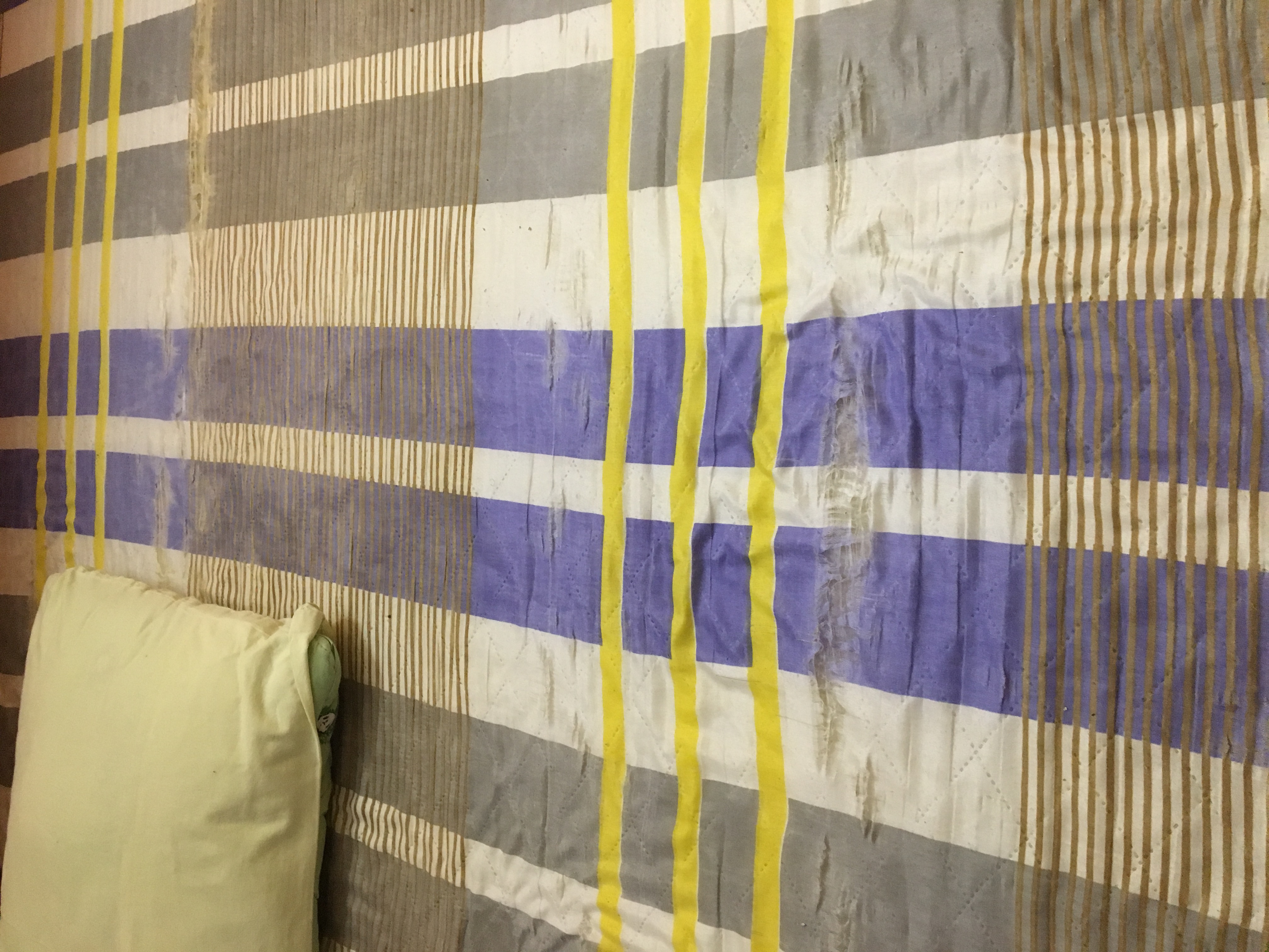 Фото Алые Паруса