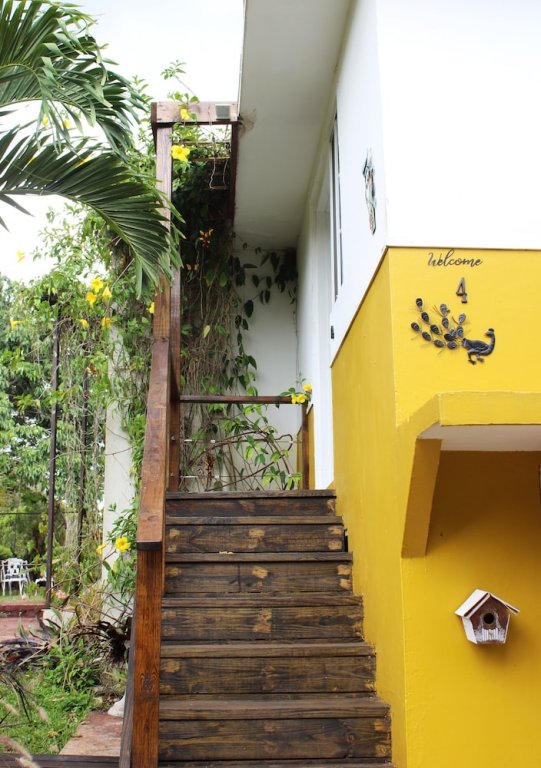 Фото Casa da Buena Vista B&b