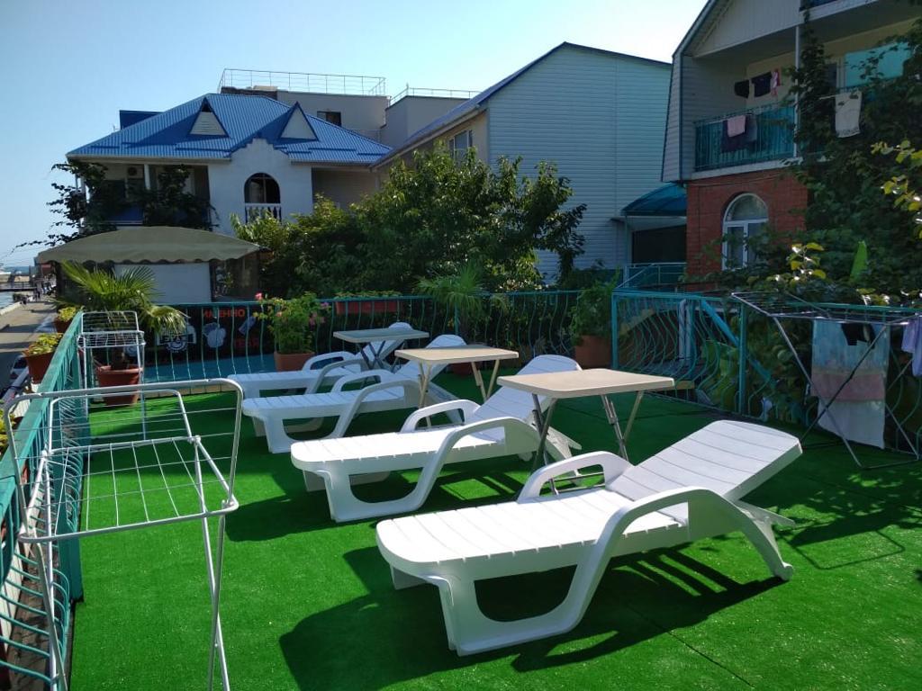 Фото Фламинго