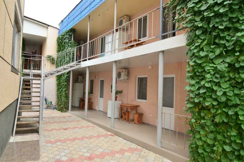 Фото Ласточка