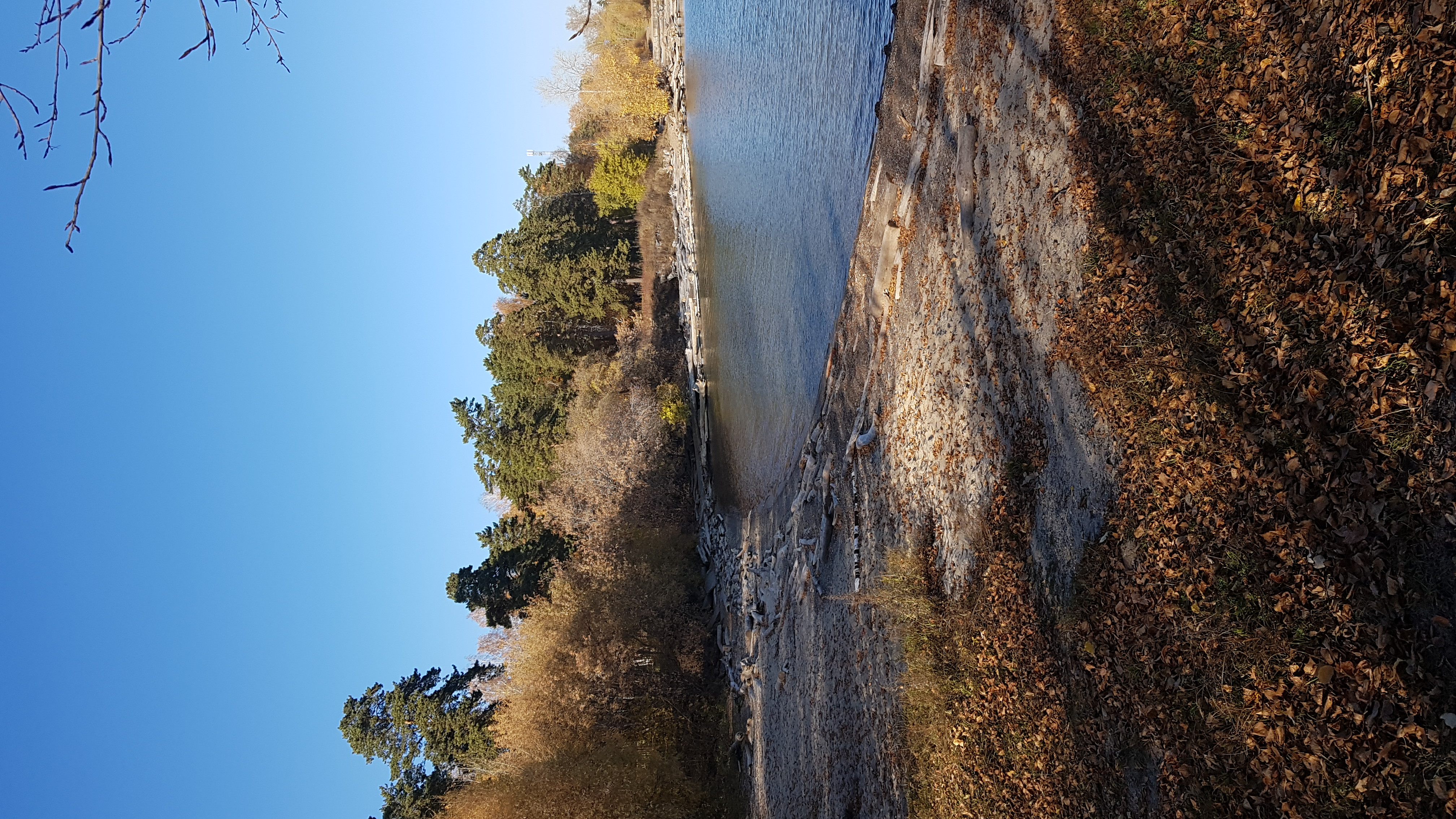 Фото Солнечный