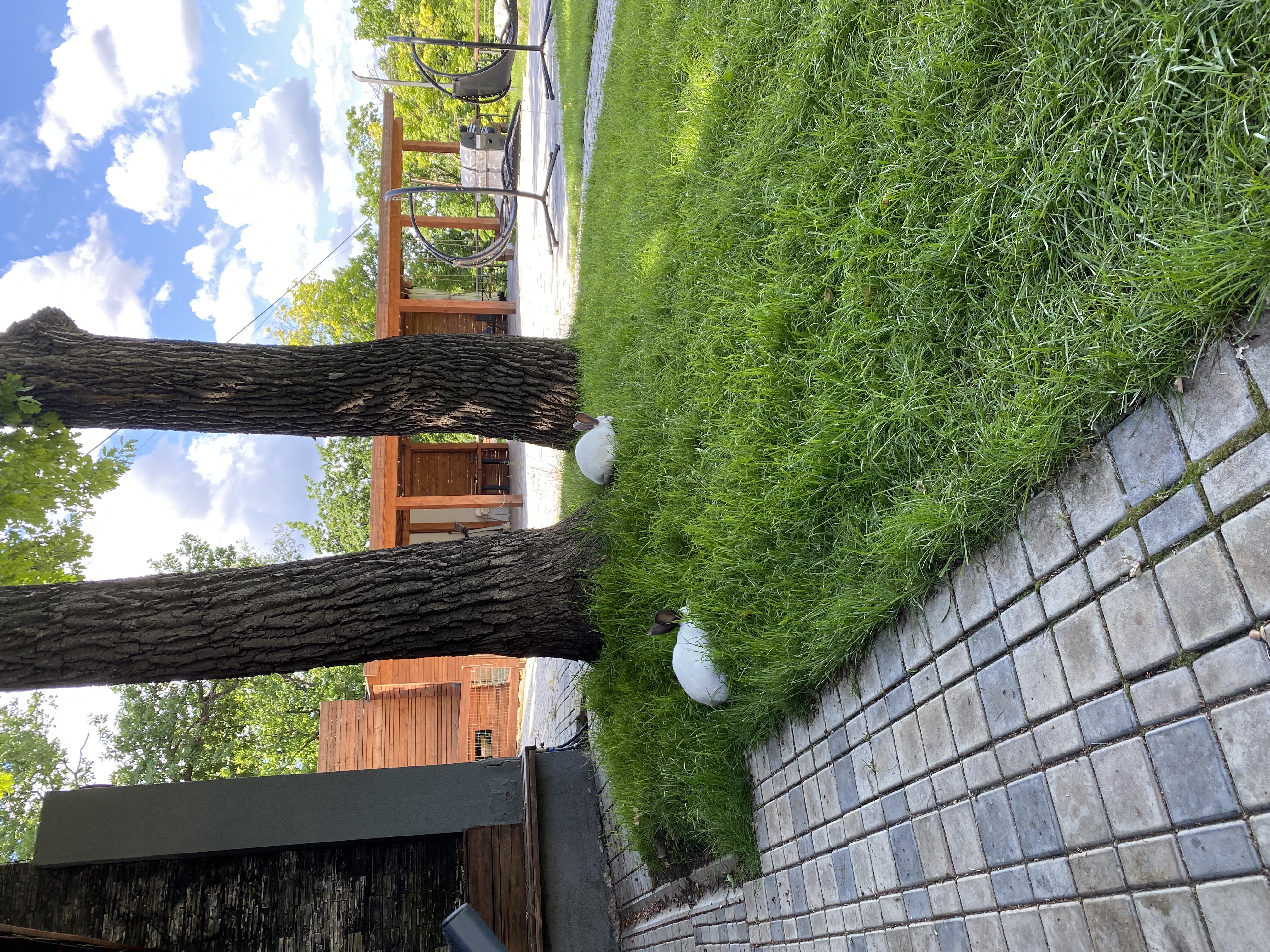 Фото 7 Террас