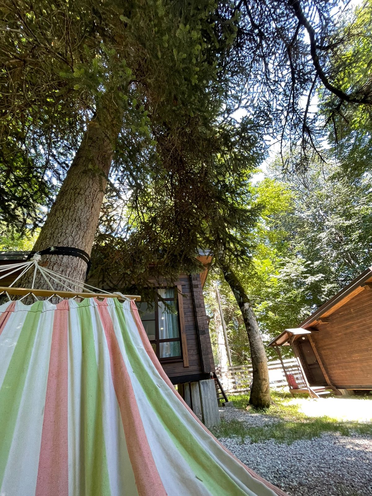 Фото Виктория