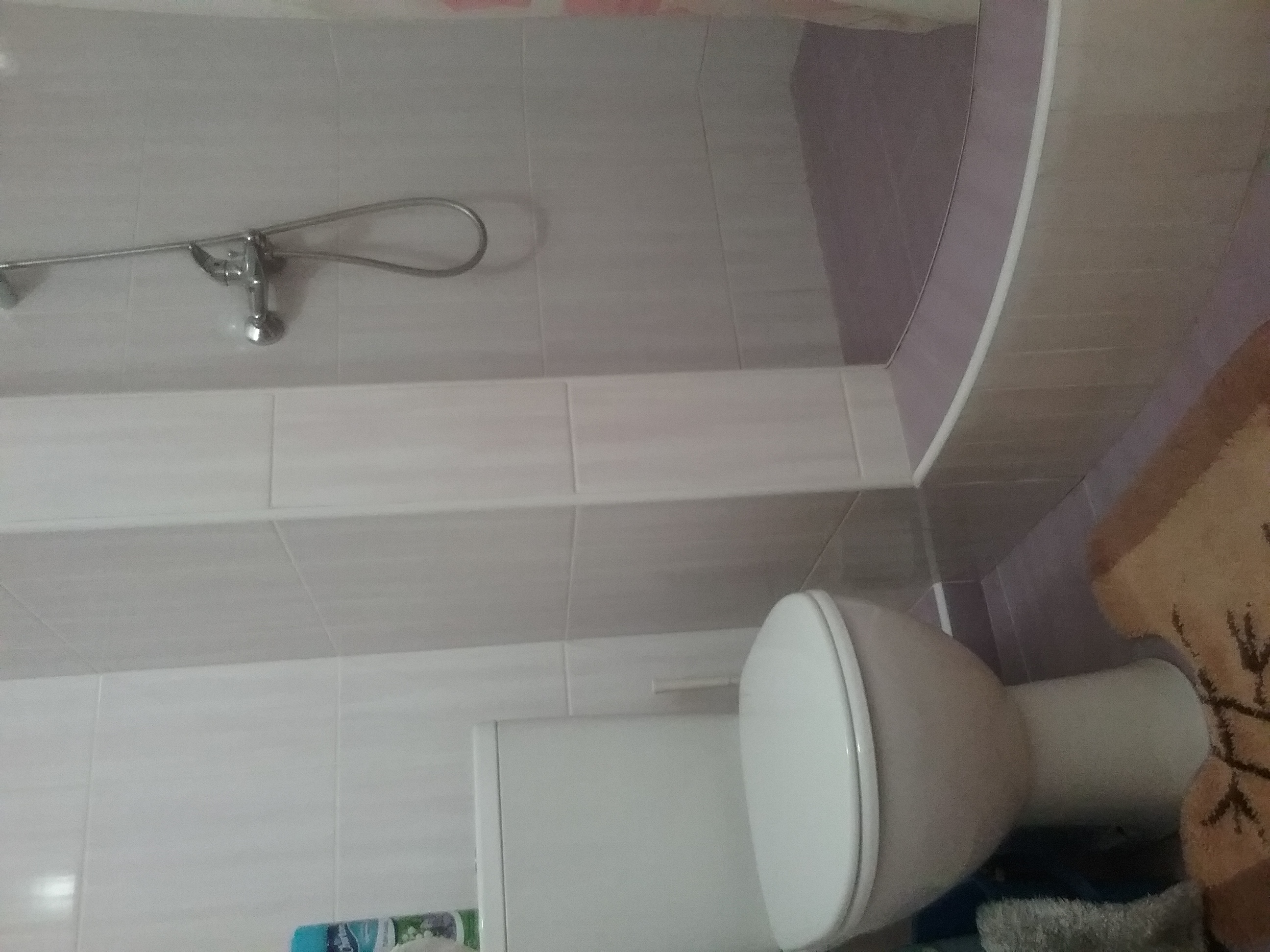 Фото Жар птица