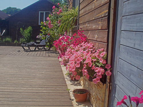 Иное жильё Лесная поляна в Джубге