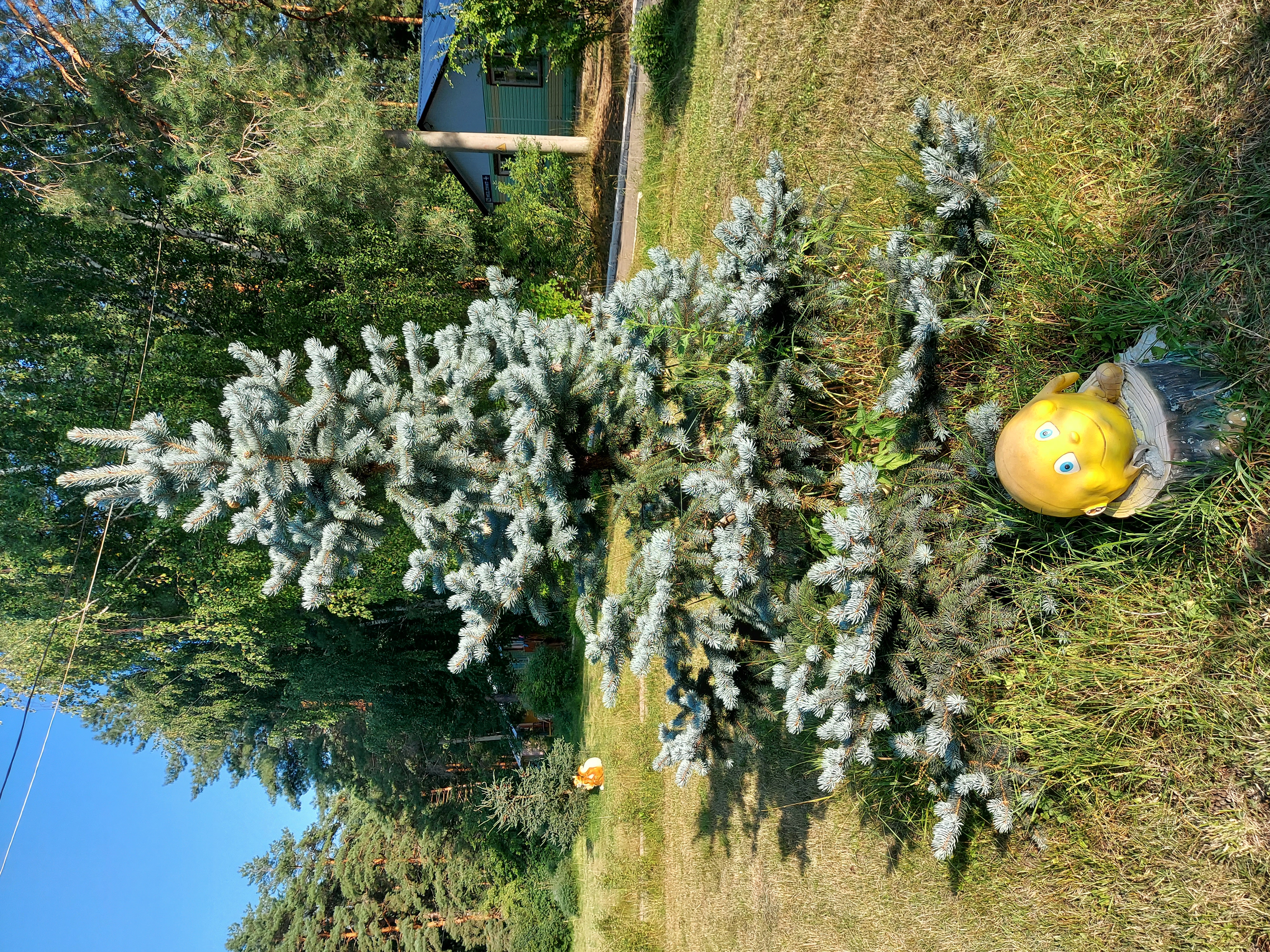 Фото База отдыха Яльчик