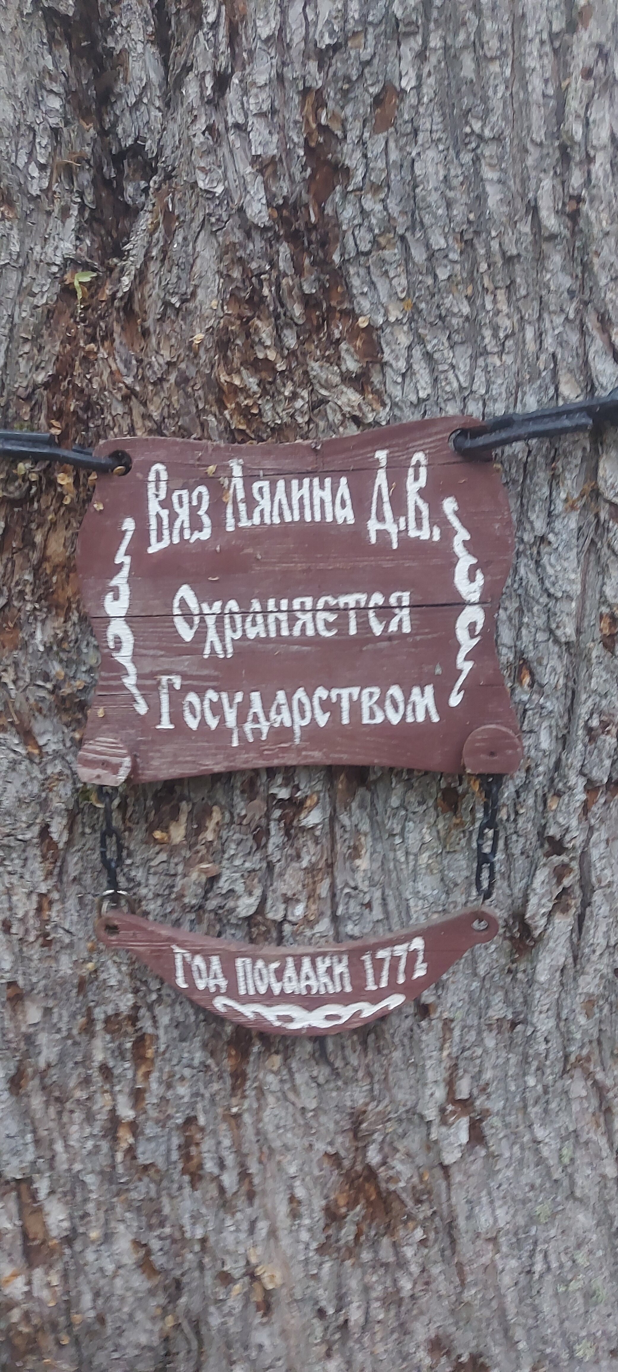 Фото Мишкина дача