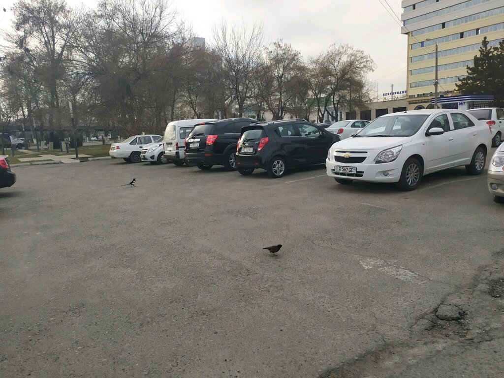 Автомобили Узбекистан стоянка