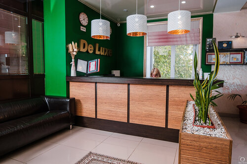 Внешний вид отеля Делюкс на Р.Фахретдина в Альметьевске, фото 4