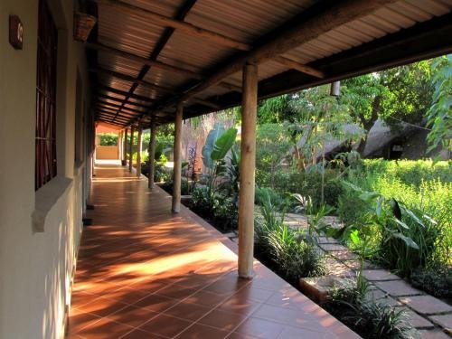 Фото Olga's the Italian Corner