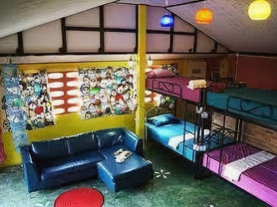 Фото Dorm Des Fleurs Hostel