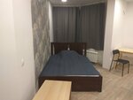 Moskovskoye Shosse 27 Apartments (Московское шоссе, 27), short-term housing rental