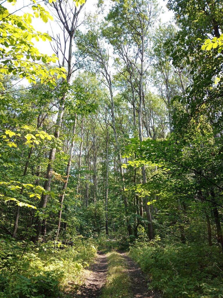 Природа Урочище Алебастровая гора, Оренбургская область, фото