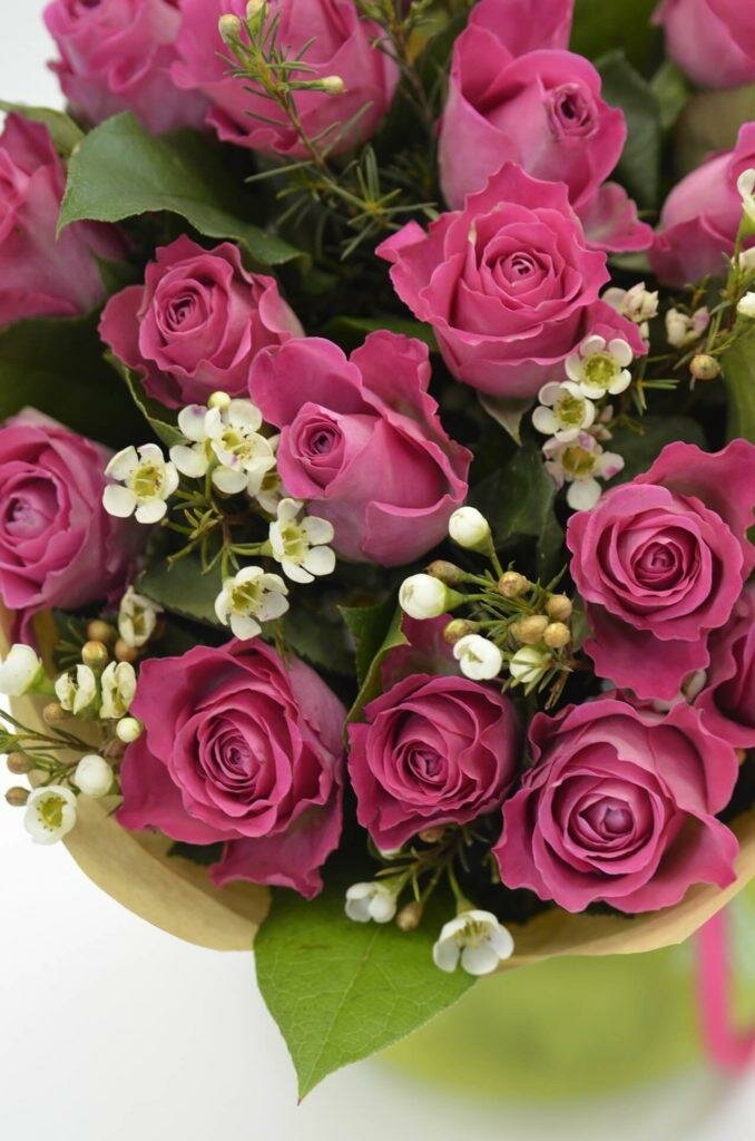 Открой фото цветов Цветы, flower shop, посёлок городского типа Советский, улица Матросова, 34 - Yan