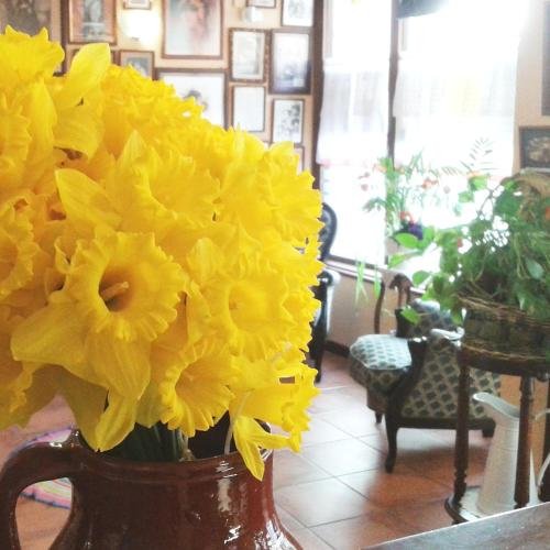 Фото Hostal Santa Agueda