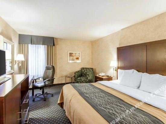 Фото Comfort Inn & Suites Sea-Tac Airport