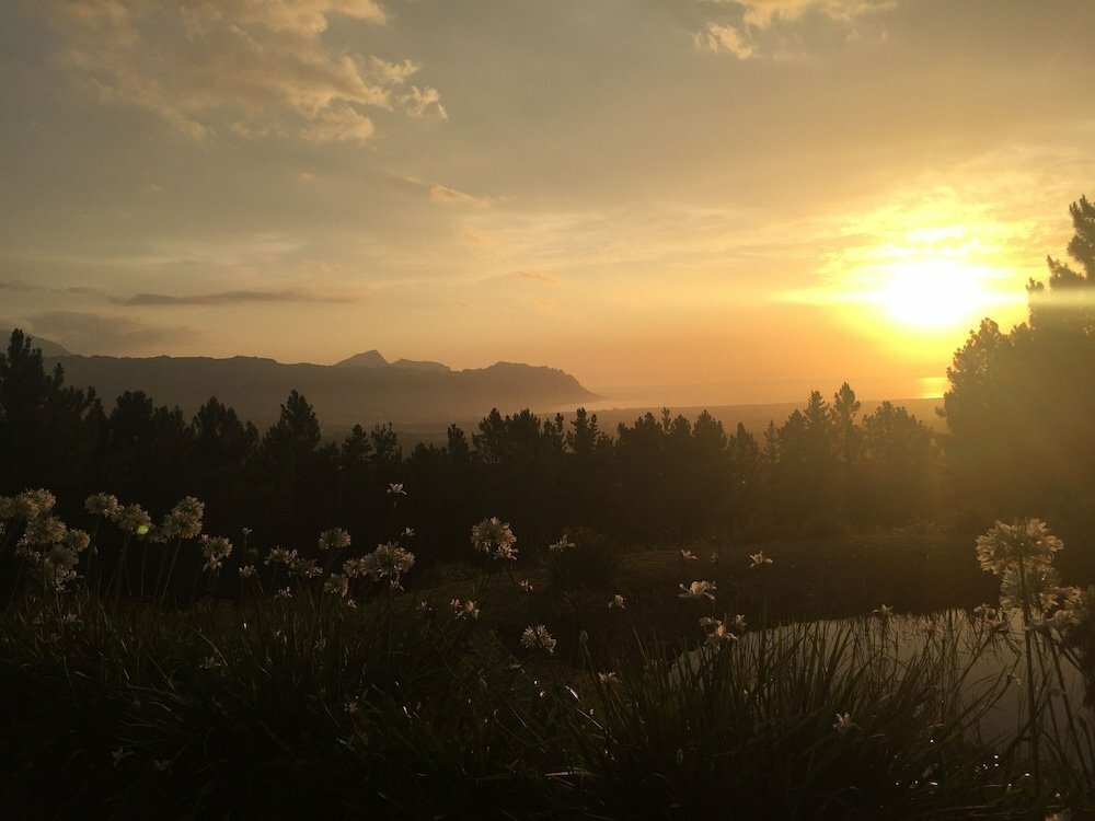 Hotel Lalapanzi Lodge, Capetown, photo