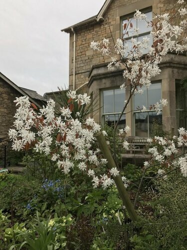 Внешний вид отеля Turks Hall в Брутоне, фото 4