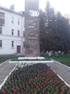 Клитор қалай шығады