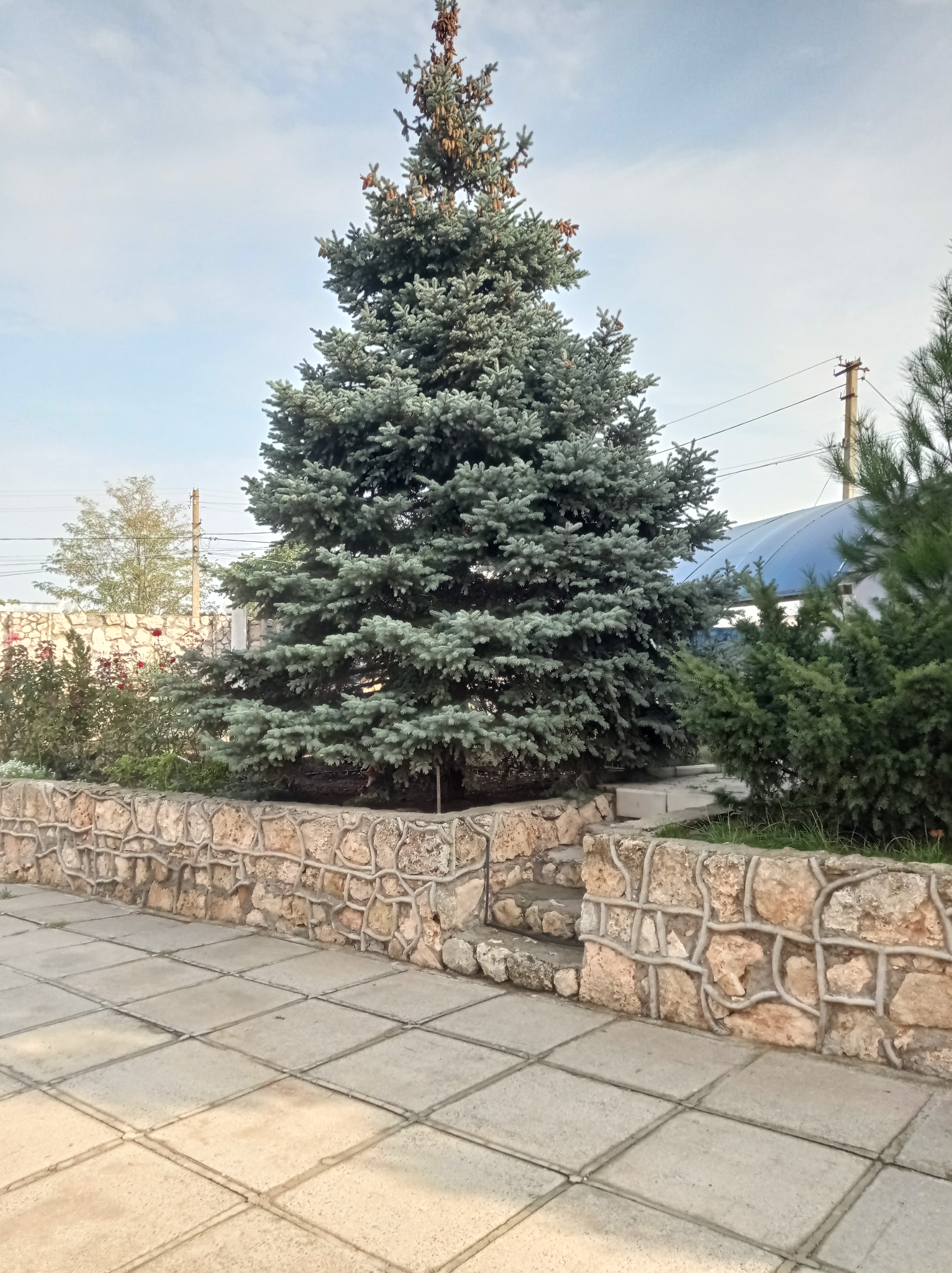 Фото Это-Лето