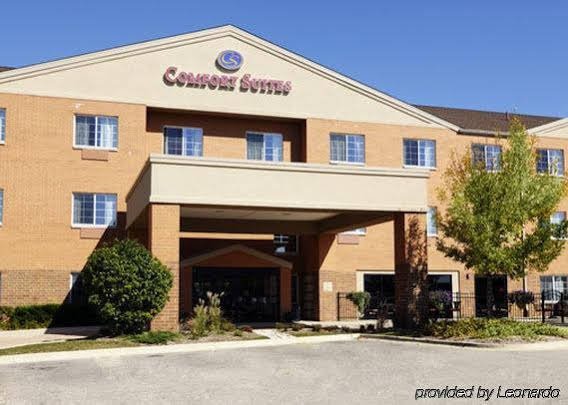 Фото Comfort Suites Elgin