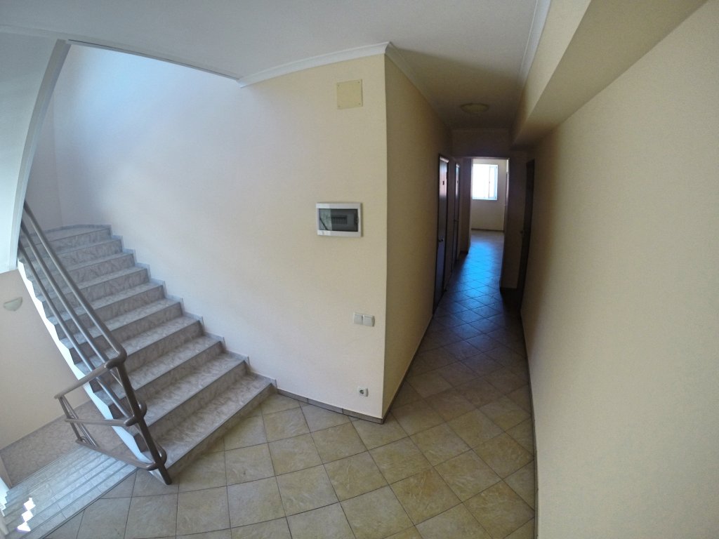 Фото Горлица