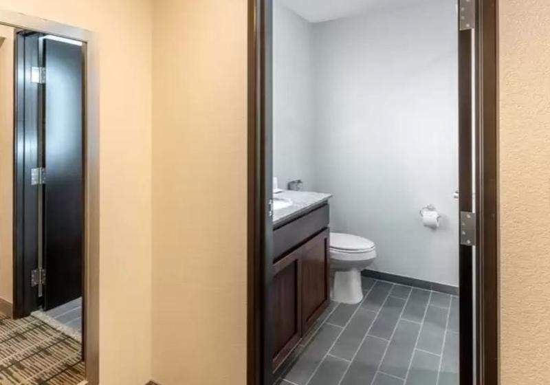 Фото Sleep Inn & Suites Denver International Airport