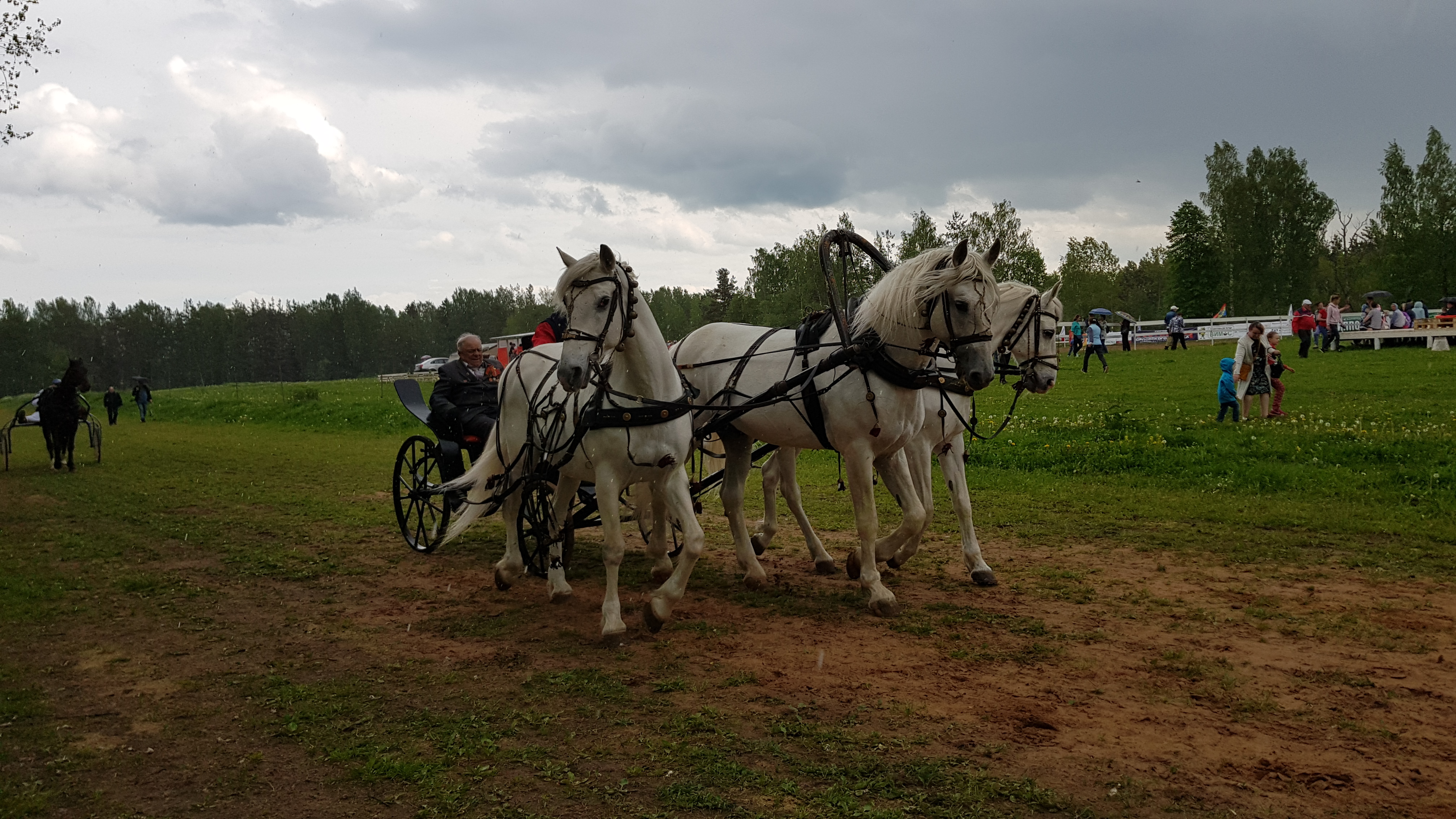 Конный клуб в Ленинградской области