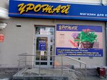 Urozhay (Lomonosova Street, 24) ، متجر مستلزمات البستنة