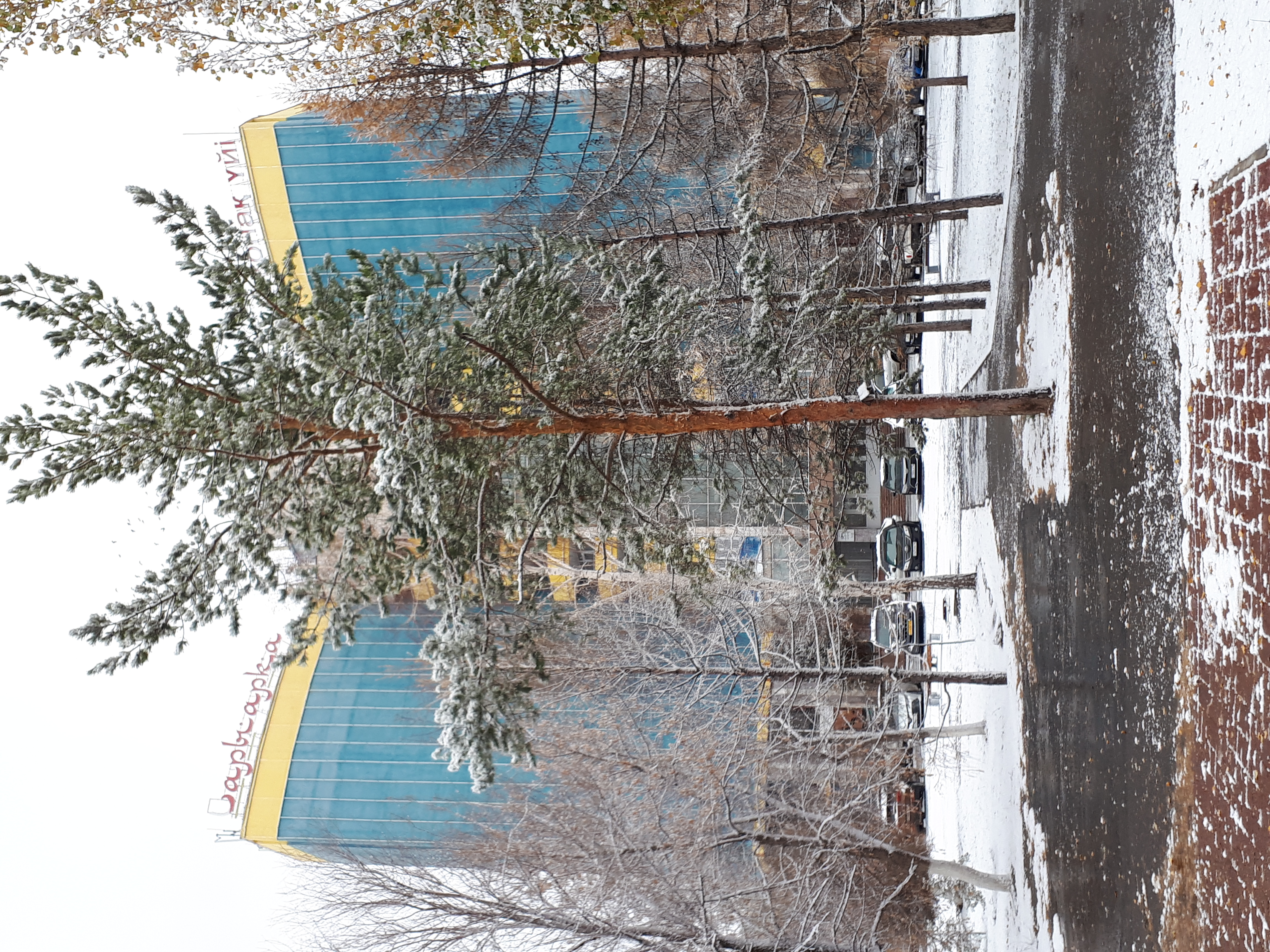 Фото Сарыарка