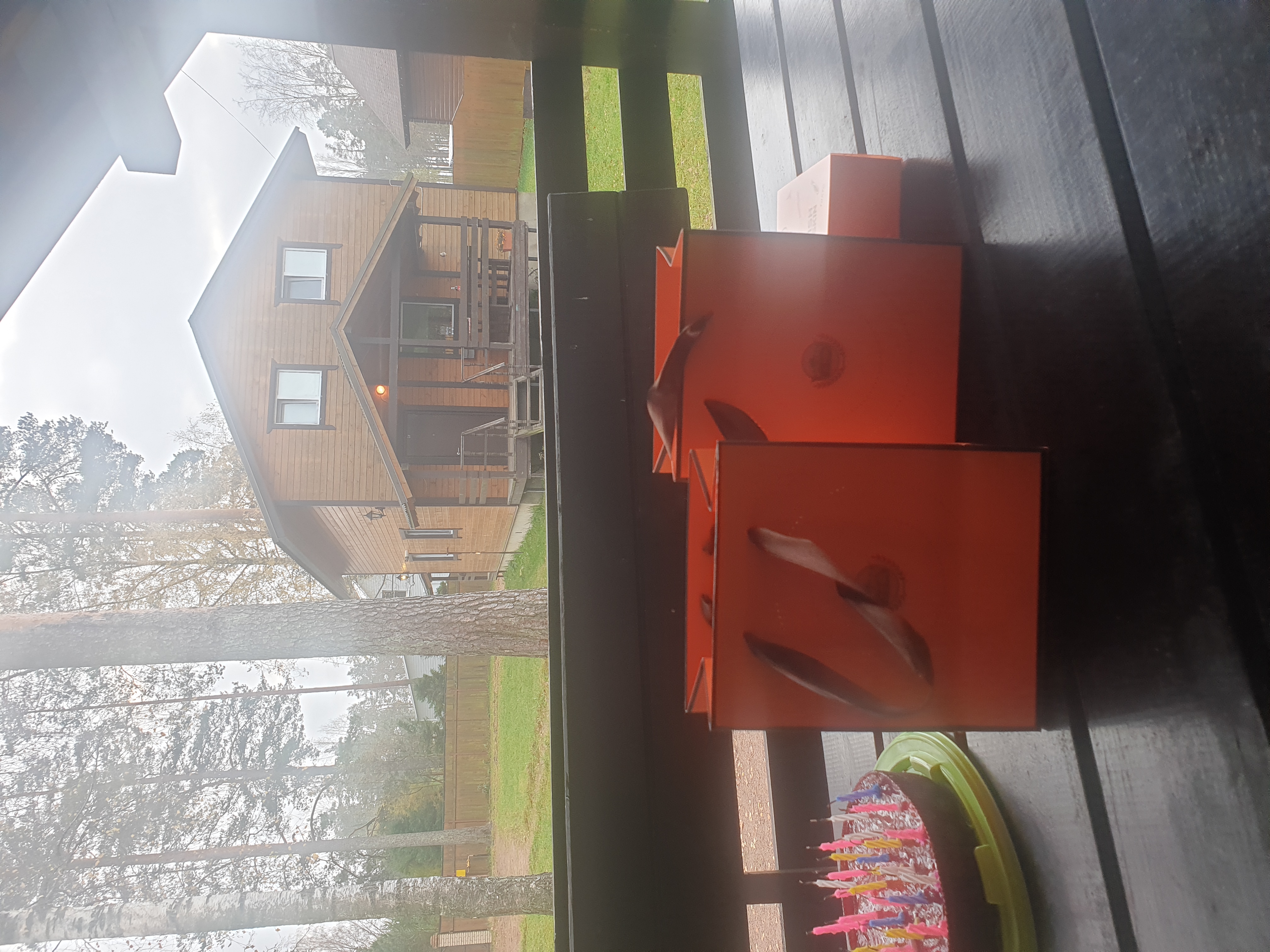 Фото Мичуринский дворик