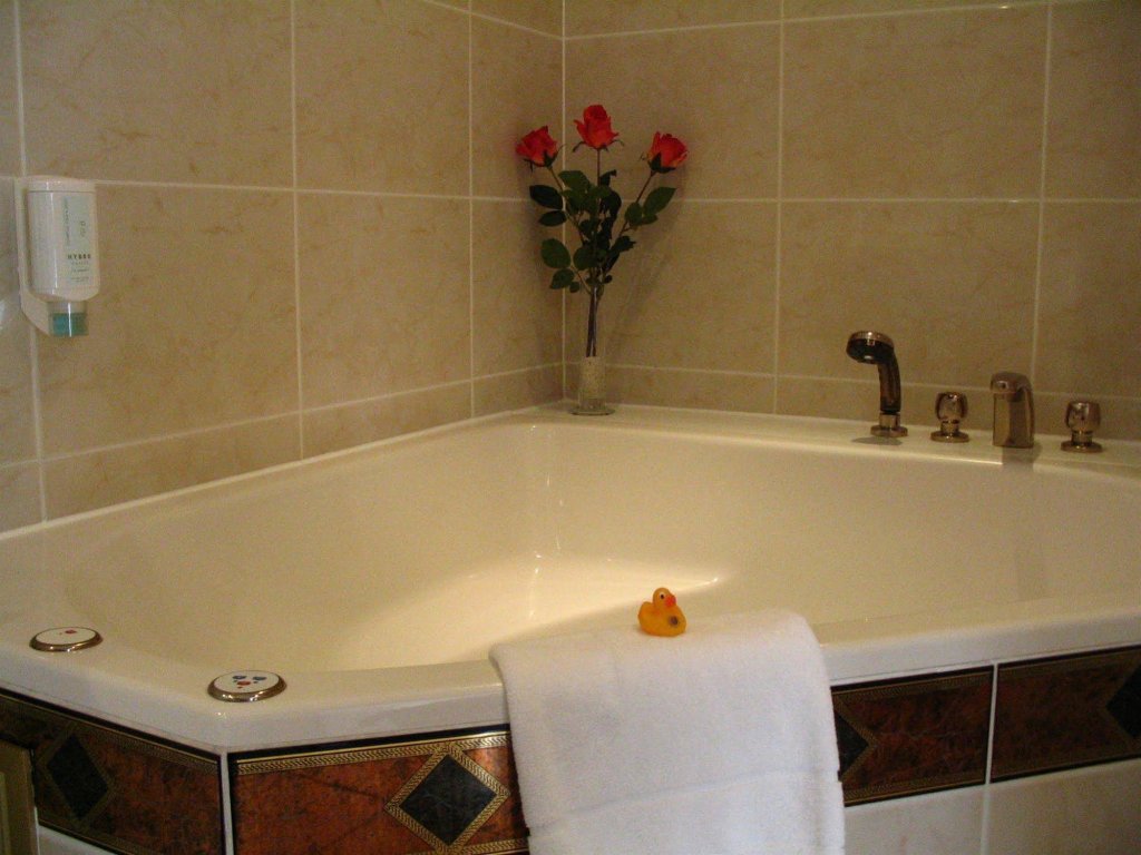 Фото Hotel Alexander am Zoo