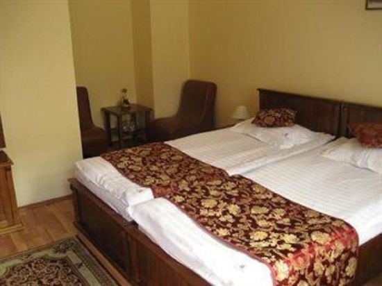 Фото Hotel Transilvania